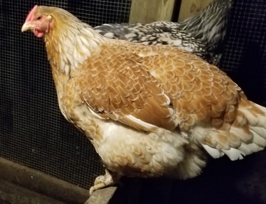 4aac5dfb-4b5b-455c-a5eb-e343504f4767