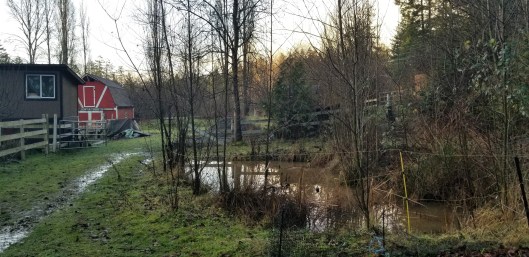 92212a5e-16b0-4973-8c9d-b7c0e5c4fe4d