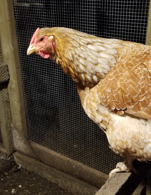 a9bdc1e9-114d-454b-a633-8a44f7bdfc37