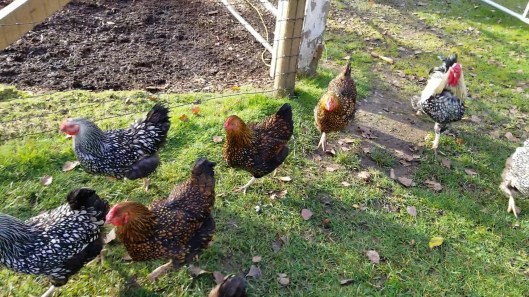 df98635d-0eb0-4dcf-bb19-fee58b594f2e