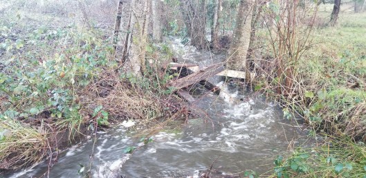 fddd12ad-bc7d-4b8d-a8f6-ed348a036d99