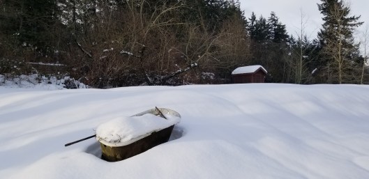 01BF724D-6C94-46F1-BF66-6EA908868D4D