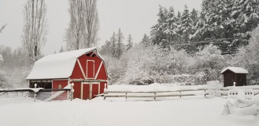 4CBB9B1F-BC40-491F-8382-7EDD6672B52E