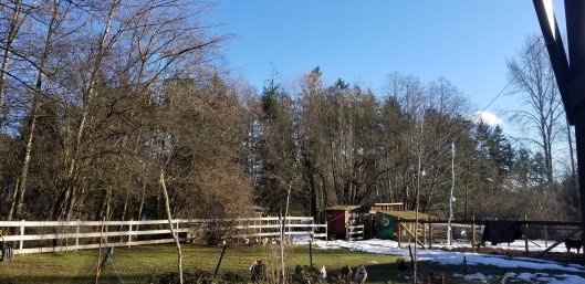 8391946C-572F-4C20-8855-2BDF450AD4C6