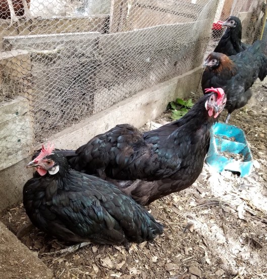 988E6747-A56B-44A1-833D-BAC5BB181B75