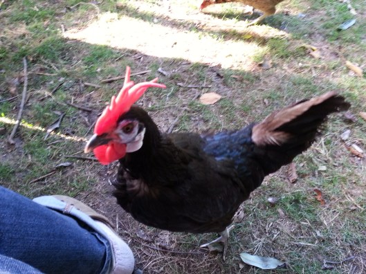 EFA34F83-7AE4-4562-B627-96AE4B0D020B