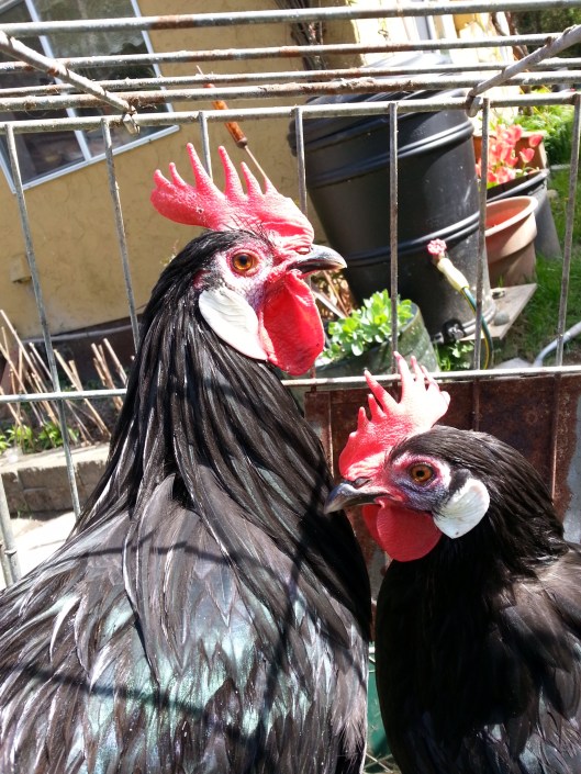 F8B1364E-42A9-4DFA-BD26-A4C58570B58D