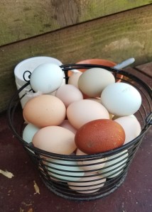 3528E1B4-C4CA-4466-BB0A-5CB181D6BBD0