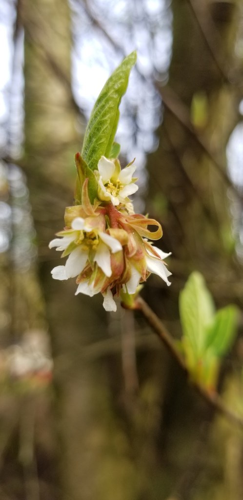 8D66D043-FDCF-4BB9-A61F-3DA288639FDE