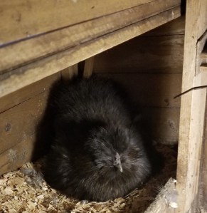 D5CA3367-9136-4DA0-AC31-CEB0CC8BA4FE