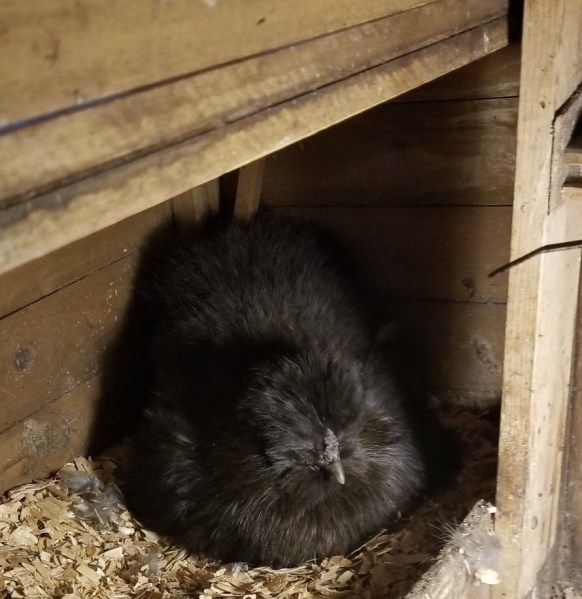 D5CA3367-9136-4DA0-AC31-CEB0CC8BA4FE