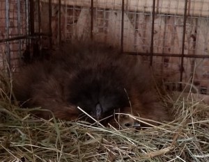 0A53B9A7-74AA-4A35-8B36-AB287CA2F45D