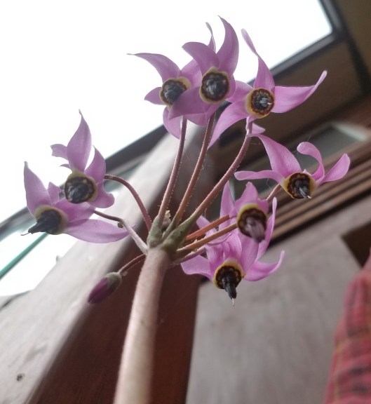 17D072E3-4805-4170-9588-2EFA4B8BFA63