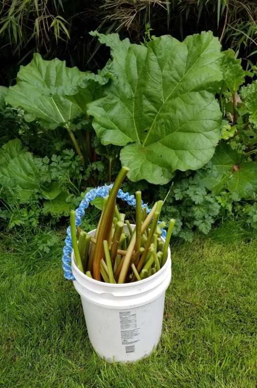 1D0BBD7F-FE16-4F70-9379-80830269252D