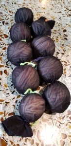 892CBB16-3BAE-4125-A1C1-1814173BD2E0