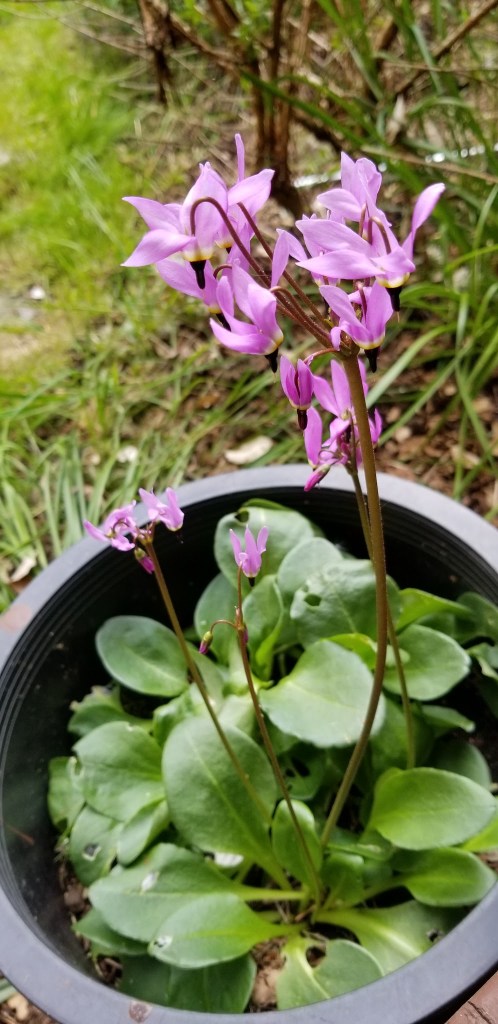 CC790324-CB17-4D57-9C01-3EE444404D9B