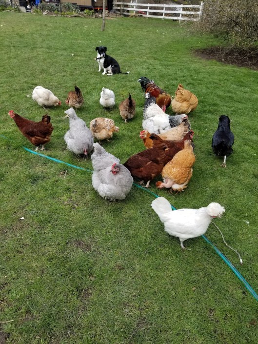 01256EE2-C944-4147-9035-AB6BE18B5821