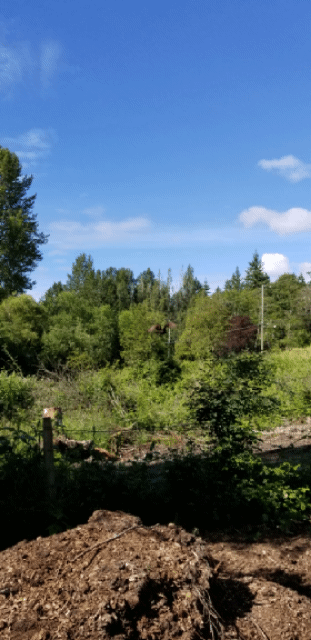 BD33BB26-199A-411C-B337-7A2AAD7EF32B