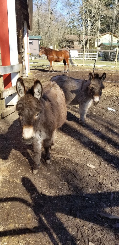 07C7E671-0FFD-447E-ADCD-7F841FB2D1CC