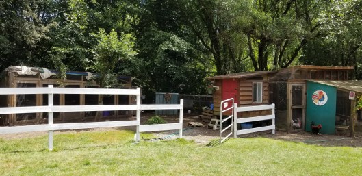 46FDE4DA-6F00-4926-B14C-41C5989FE1DB