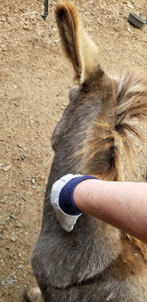 8DC0542D-1921-4253-95C7-C324063E7849