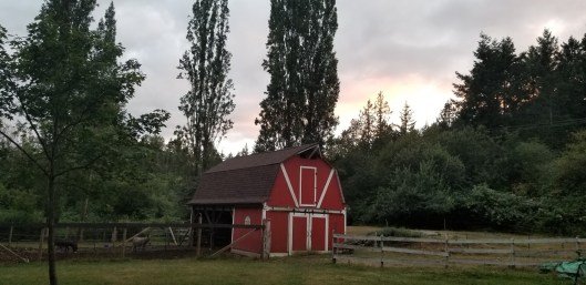 9EE5CF18-5B4B-49FD-862E-7EBE114B92A6