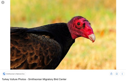 AB53E610-32C3-479B-A467-EFDCE9CE7E48