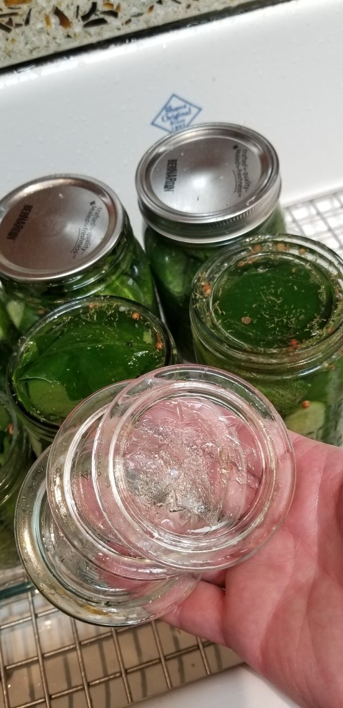 2E775EEC-BD83-4FC4-9591-B24ECB2A824D