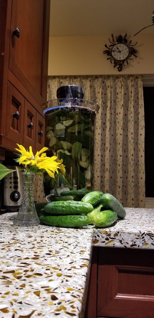 B00B7424-438D-42F1-A8B6-55AC202D291C