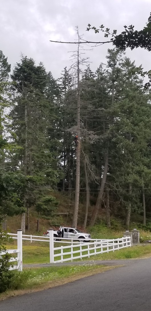 B2B89D64-07BD-4FD1-91C8-8EAA3777733F