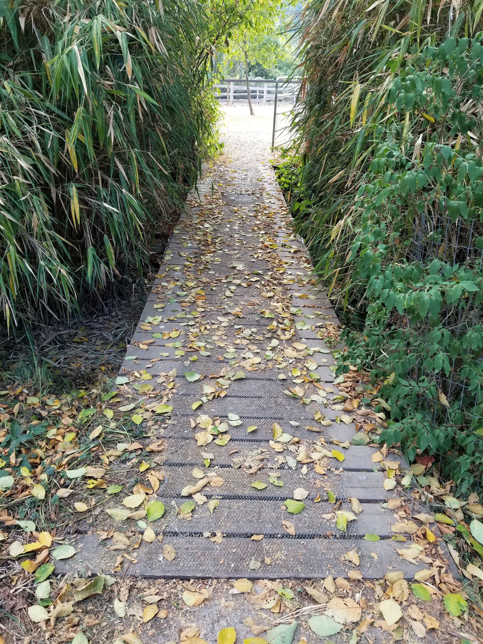 F4B456F0-AEA8-44CE-8A31-07F2089D76D1