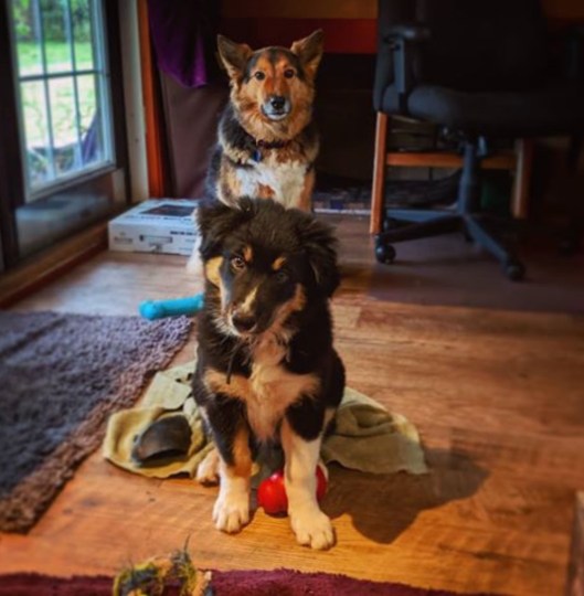 08EE5E05-01AC-41CD-A3A9-40EE43717D21