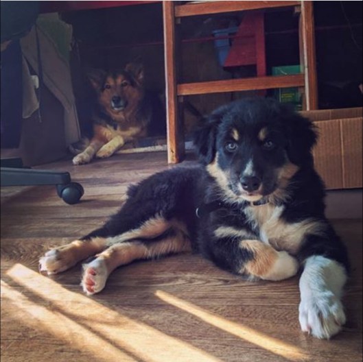 D4BBCC88-3A7D-4AE4-ABDF-FF83F69796BF