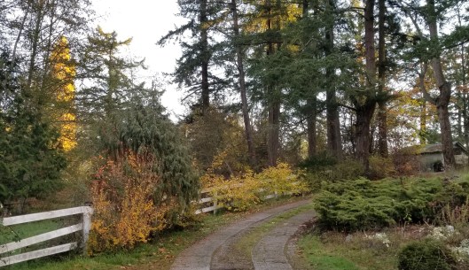 08550822-AF17-4909-99B1-6A9A706A6EC9