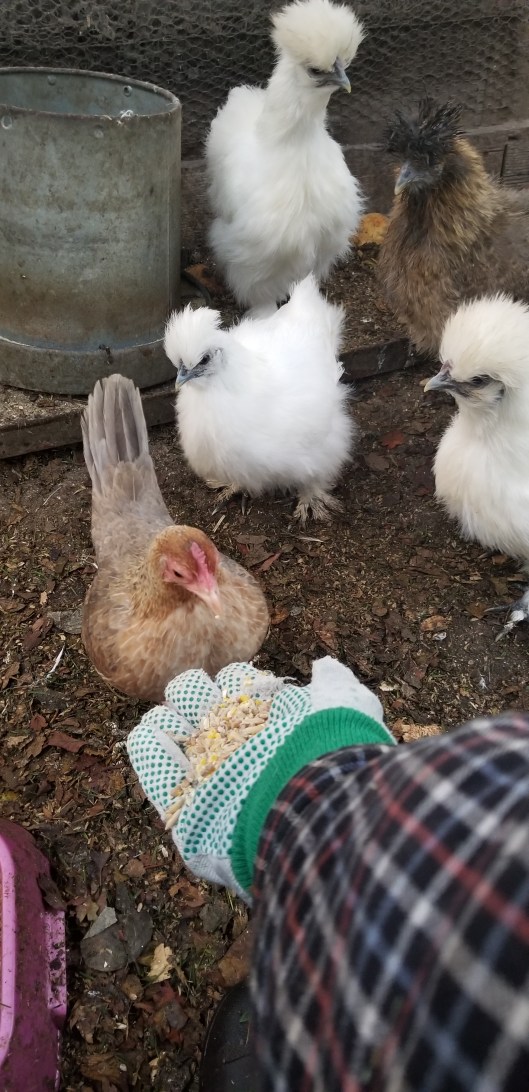 8E123FFF-9F6E-4D75-A49A-E78475AF8D67