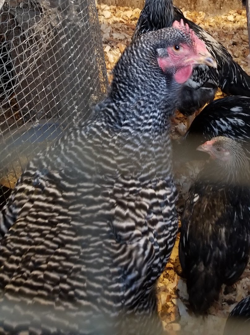 CC298005-F8F7-47F1-8B20-777C3066CBB8