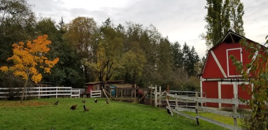 ED61E153-C400-45E1-AD70-4ED30C394756