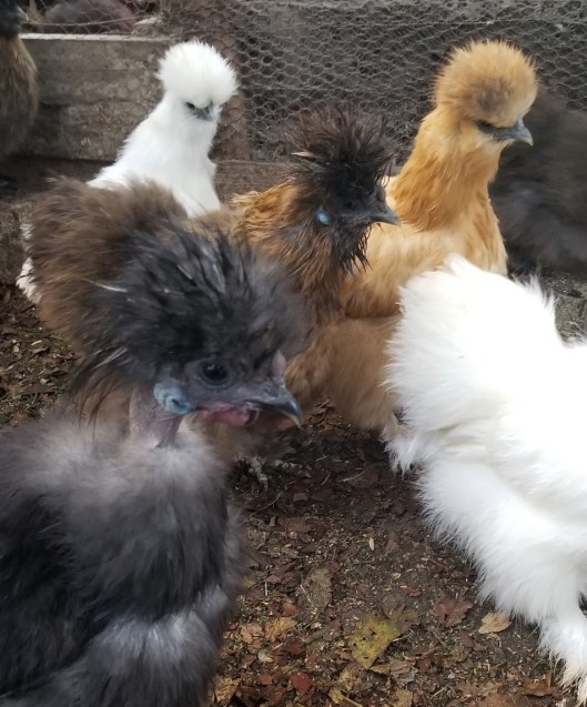 F3D2B564-DB8D-4942-A71A-6261D054FFB4