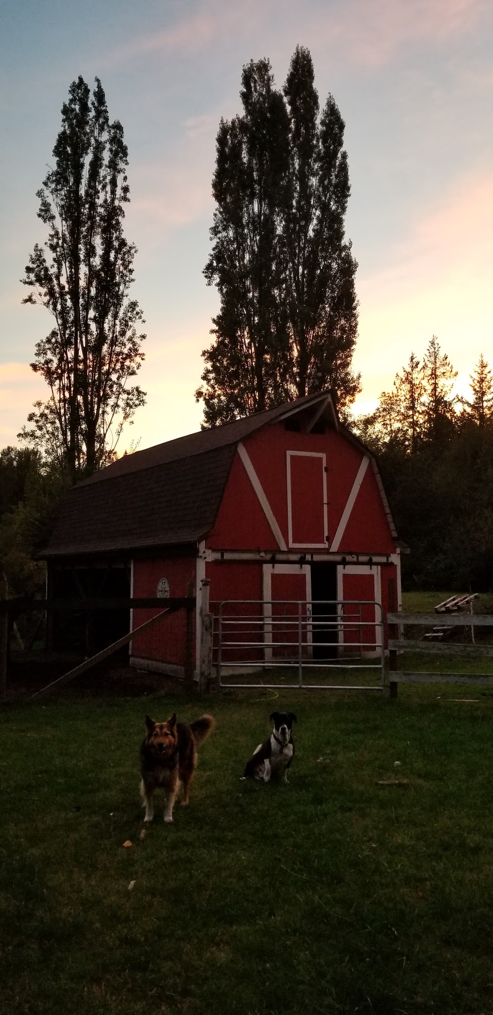 2B3E99BB-91F9-442F-AA98-A833D0F197CA