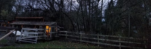 5D56B4D6-E8B5-4B0B-B5B1-4B21D6372384