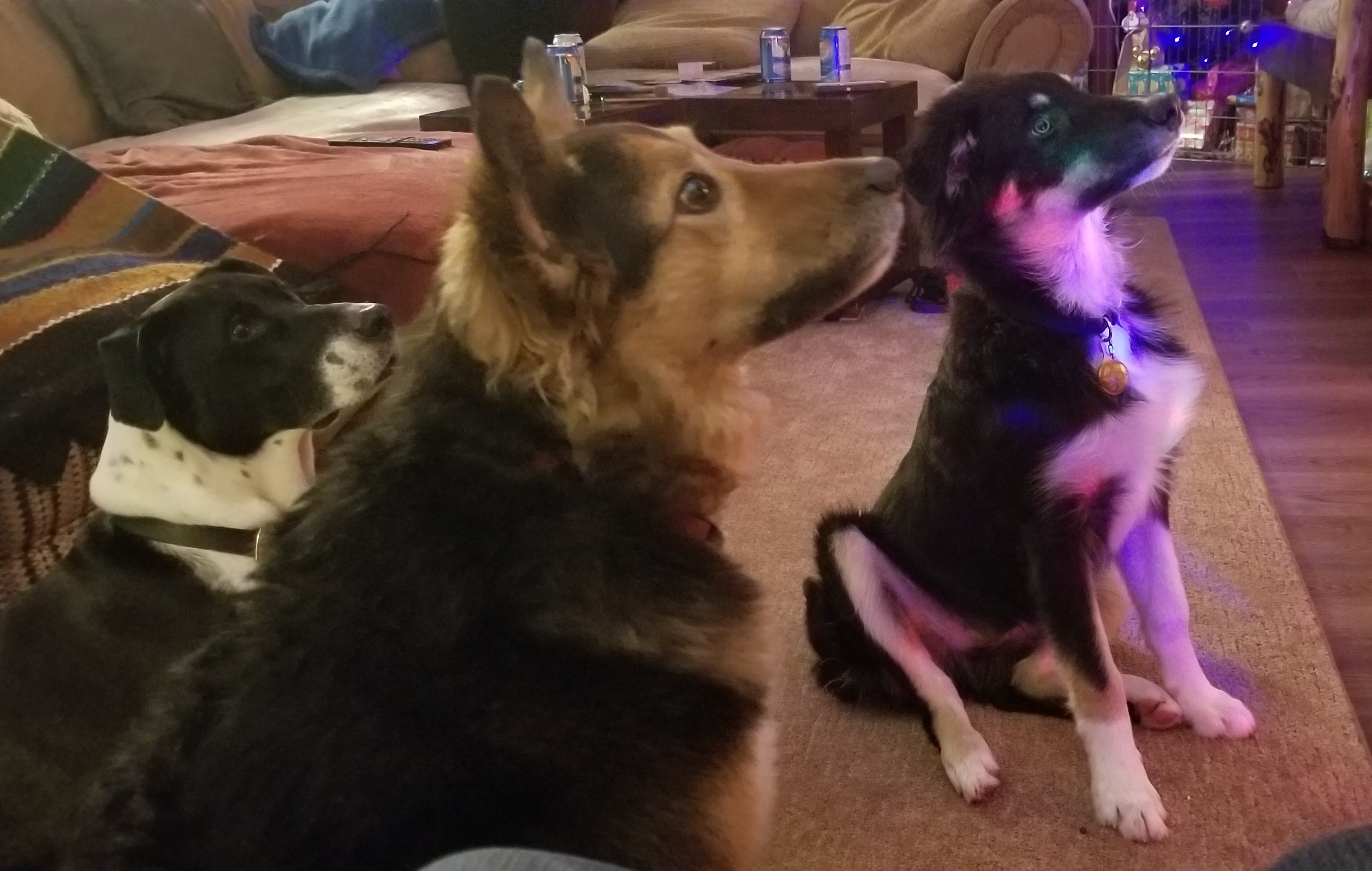 07EDD30E-88F6-4DBF-B2A2-0F29730BBA71