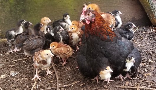 0012E20C-97E0-41F8-A213-416EC3E1477A