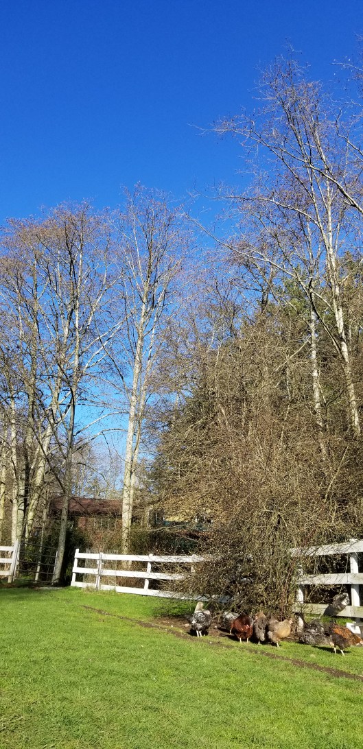 0D41F2A7-338A-45FC-ADBC-27E779BA6507