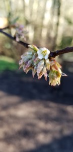 D45C78FF-20CD-453B-847F-B0EFB0855A14