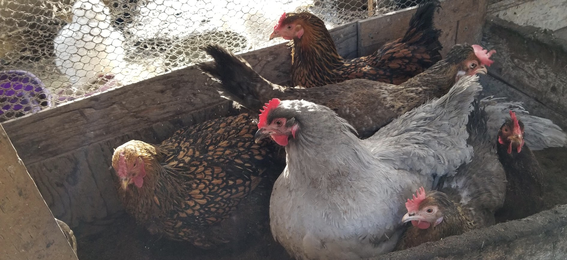 E264A0E4-4CE5-4525-8862-9CE6A19BE7BD