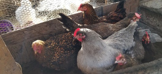 E264A0E4-4CE5-4525-8862-9CE6A19BE7BD