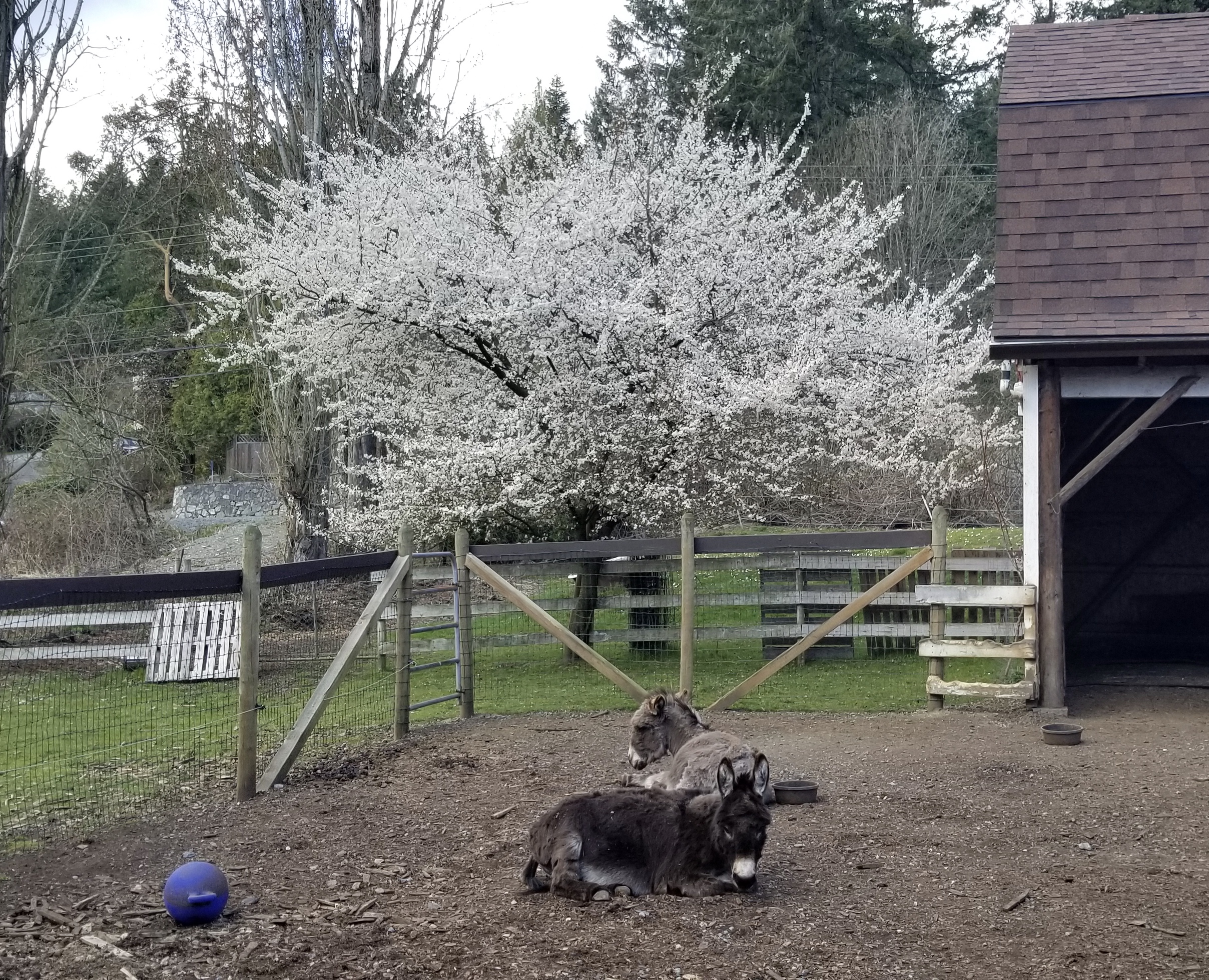 2B7D2BF3-D4EC-417D-B2E2-2A8835A0F1AD