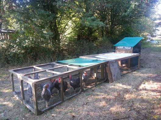 A245E240-8894-4AD1-A39E-DDEAFE504E7D