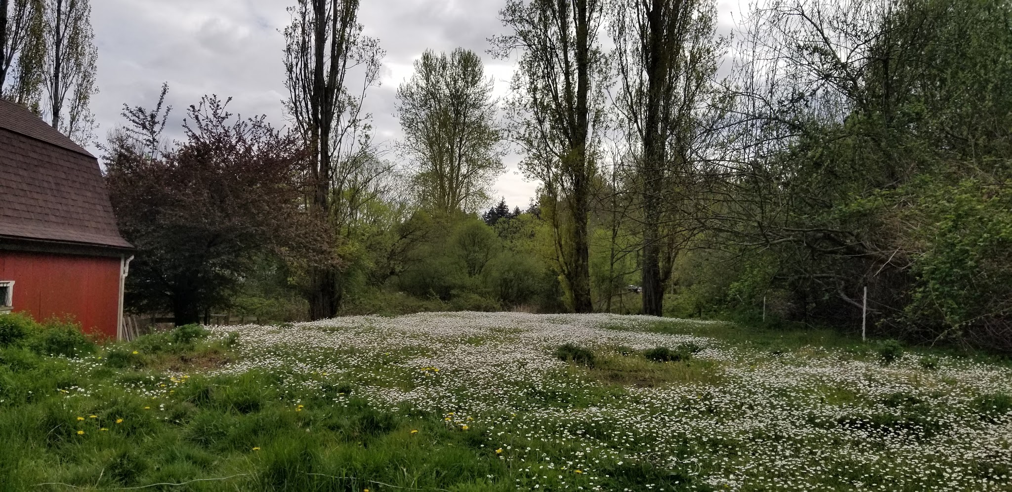 8A9382C2-D5EA-45EF-B950-E9CD4C348DEE