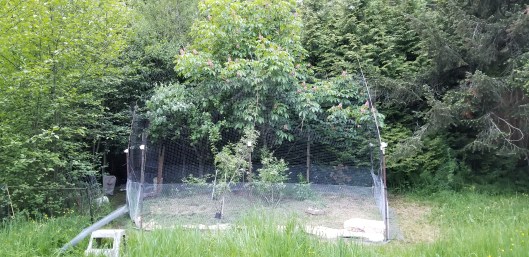 9751EFDA-8EAF-484C-820C-D9A8EEBBD13D